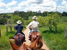 Brazil-Rio/Sao Paulo-Plantation Ride